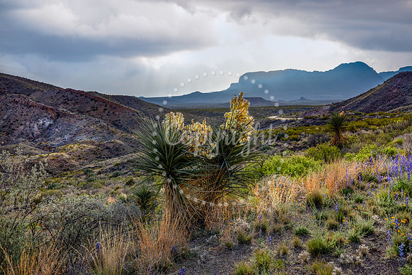 KB2_1713-Edit