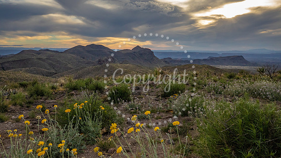 Sunset at Sotol Vista
