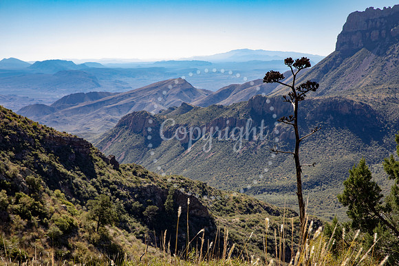 KB2_3959