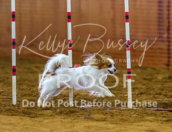 KBP_2284