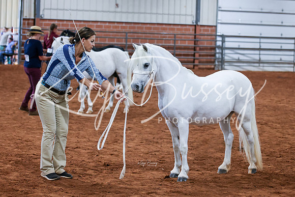 KSB_8648-Edit-web