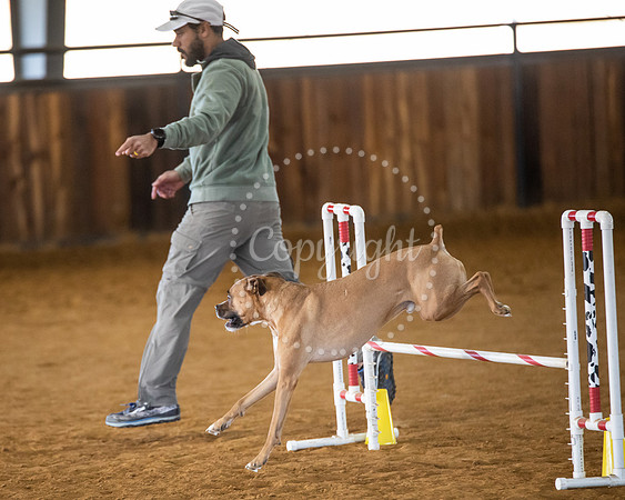 KSB_1778