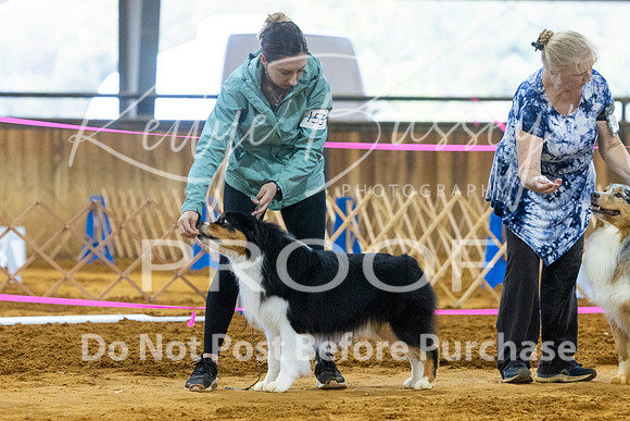 KBP_3719