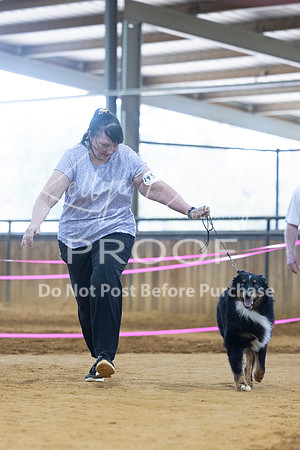 KBP_3662