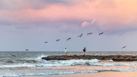 The Early Bird Catches