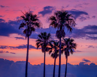 End of Day