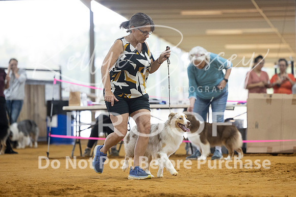 KBP_3598