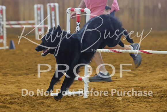 KBP_0665
