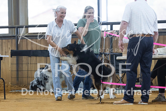 KBP_3643