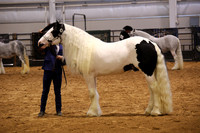 KSB10518