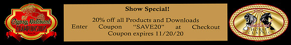 20 Discount Banner