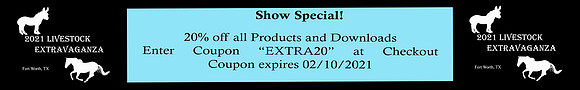 20 Discount Banner