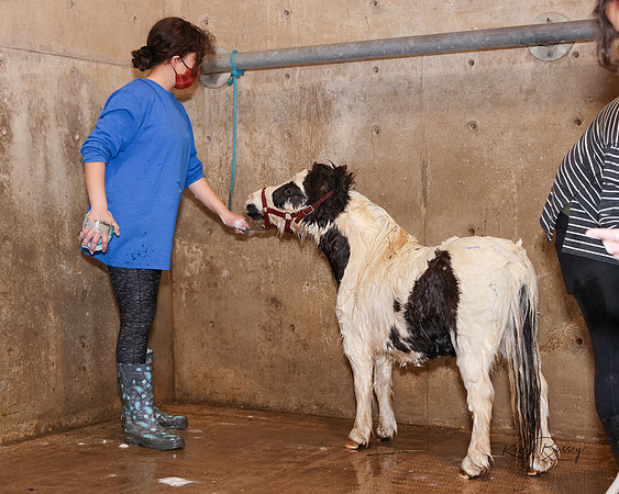KBR56778