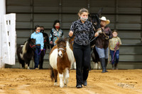 1. Haven't Gotta Clue Halter Class