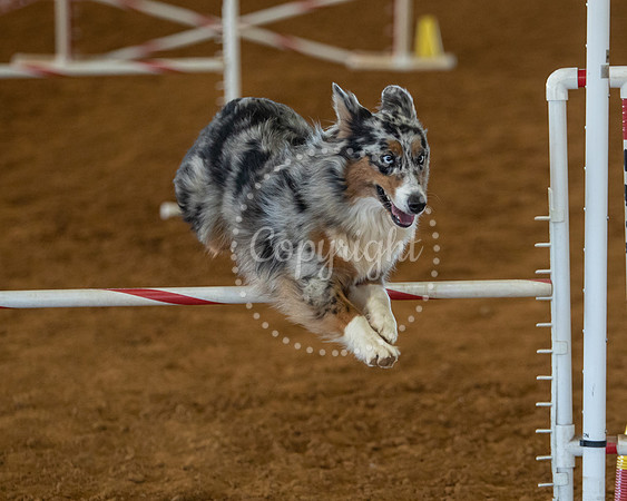 KSB_1580