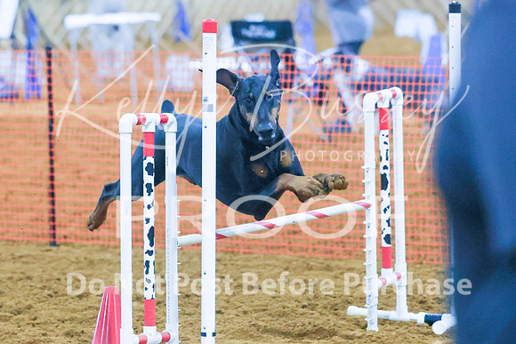 KBP_0199