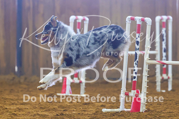 KBP_0986