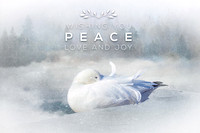 Peace Love Snow Goose