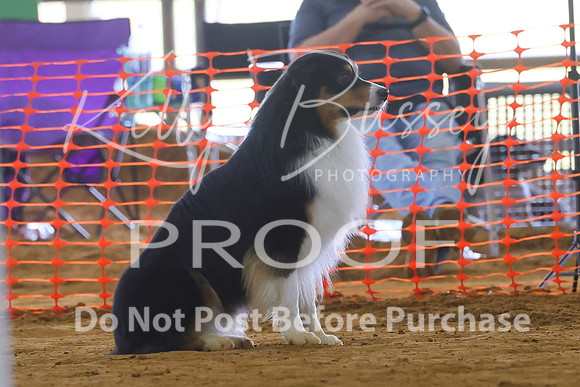 KBP_2015