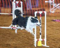 ASC Trial Saturday
