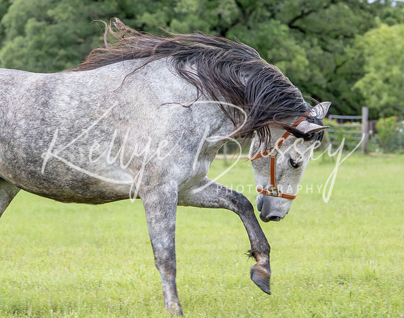 KB2_1704-Edit-Edit