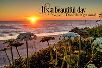 Beautiful Day