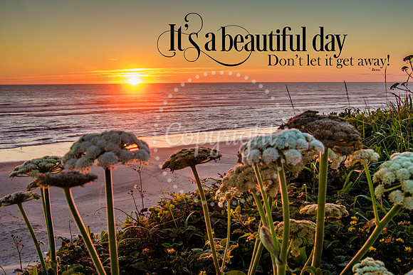 Beautiful Day
