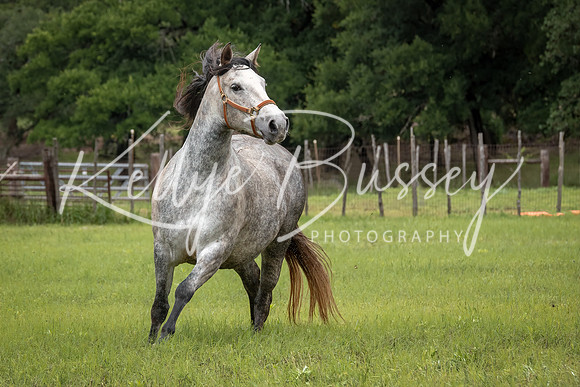 KB2_1797-Edit-Edit