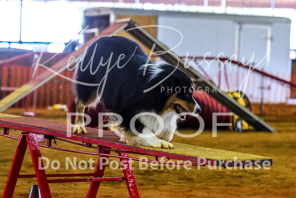 KBP_2019