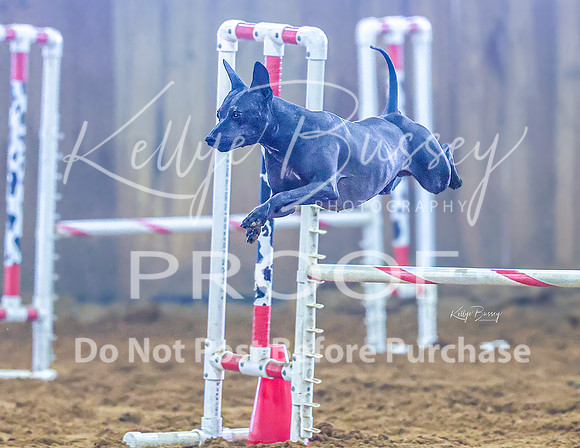KBP_0981