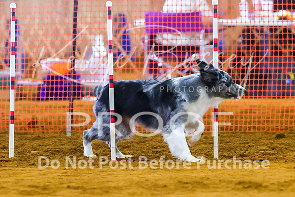 KBP_2196