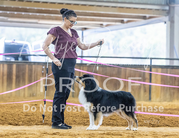 KBP_3695