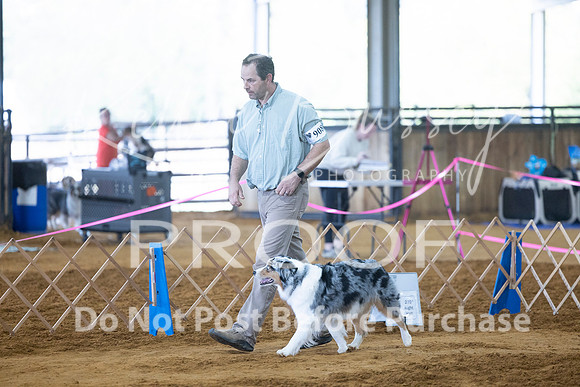 KBP_3251