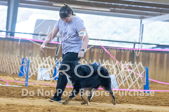 KBP_3667