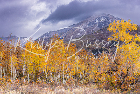 Breaking Storm - La Plata Canyon