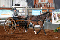 HU2A1687