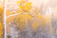 Change of Seasons