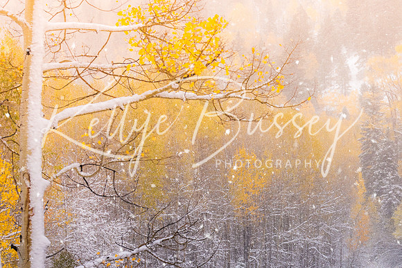 Change of Seasons