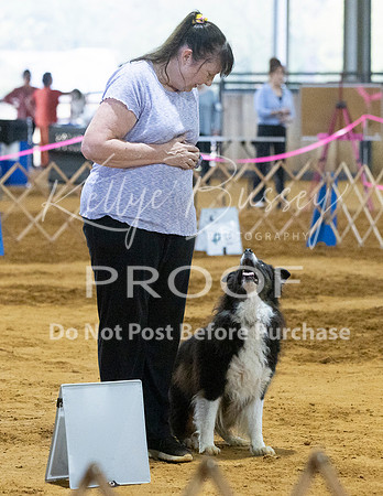 KBP_3631