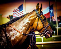 6V9A1169-Edit-Edit