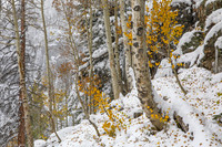 20191010-KSB_1148