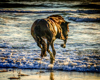 6V9A5379-Edit-Edit