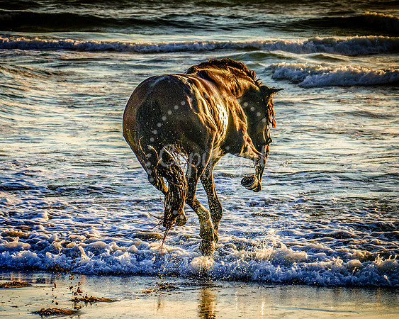 6V9A5379-Edit-Edit
