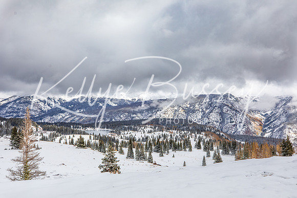 Molas Pass 2