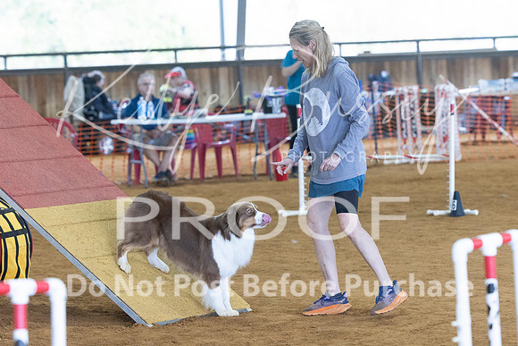 KBP_4597