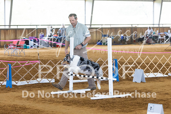 KBP_4707