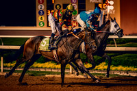 6V9A1330-Edit