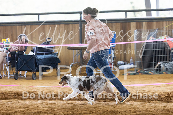 KBP_4802