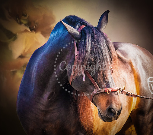6V9A8969-Edit-Edit