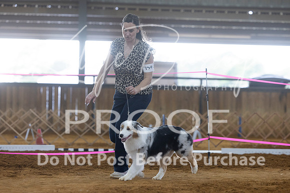 KBP_5196